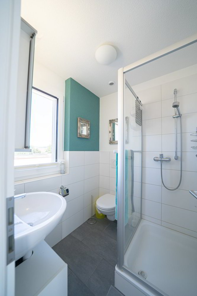 5.5 rooms House to buy in Frick - image 1/13