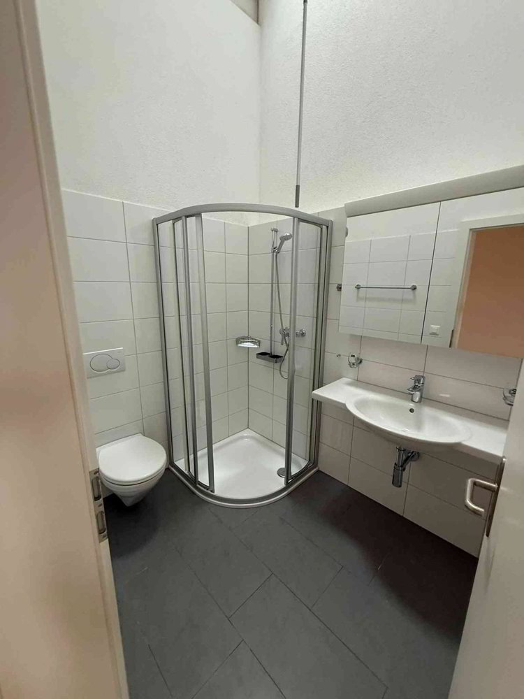 Casa di 5.5 locali in affitto a Merenschwand - immagine 1/13