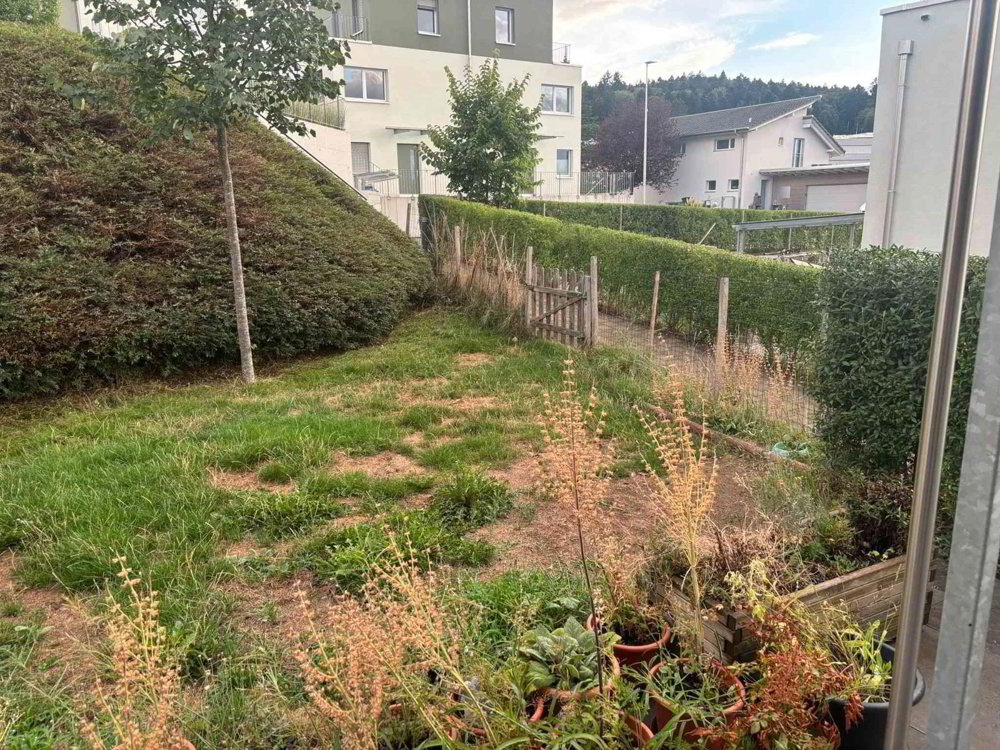 Maison 4.5 pièces à louer à Dürrenäsch - image 1/11