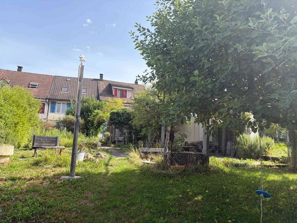 Haus – Weinfelden - Ansicht 4