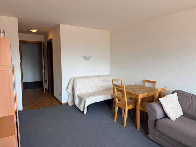 1 Zimmer Wohnung zu vermieten in Haute-Nendaz - Bild 1/5