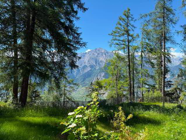 5 Zimmer Haus zu vermieten in Haute-Nendaz - Bild 1/9