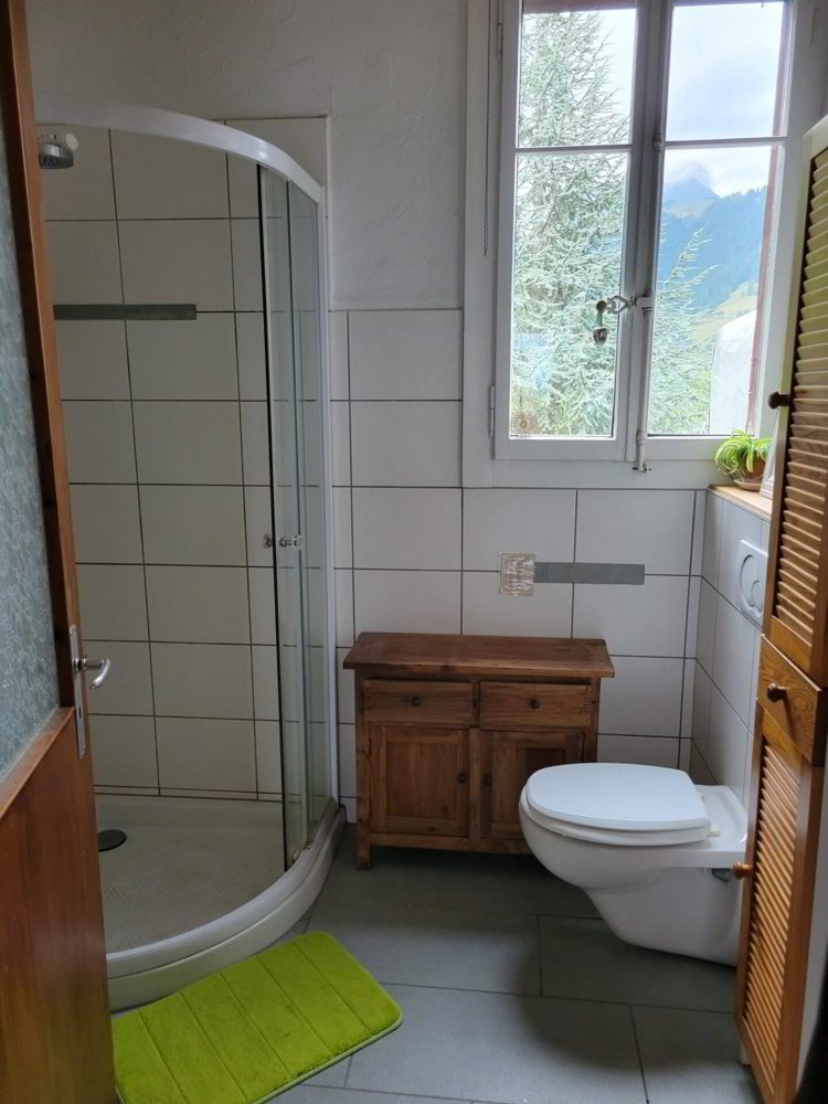 Wohnung – Gryon - Ansicht 5