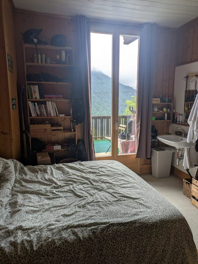 Wohnung – Gryon - Mehr