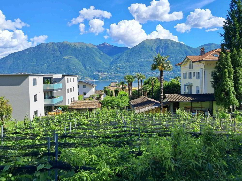 null rooms Land to buy in Minusio - image 1/2