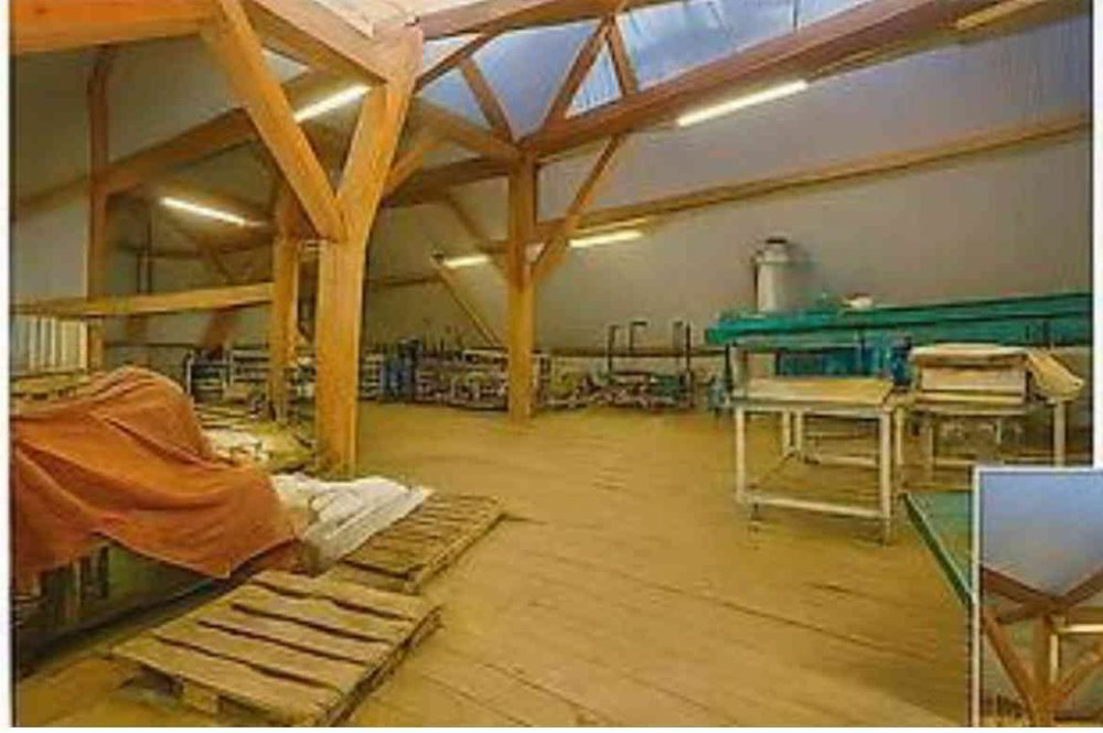 1 rooms Office & Commercial for rent in Kaiseraugst - image 1/4