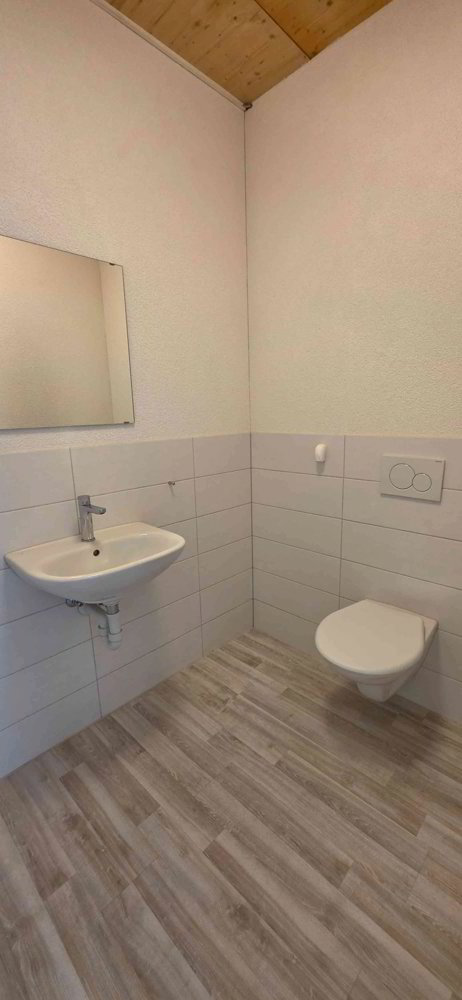 1 rooms Office & Commercial for rent in Zwingen - image 1/3