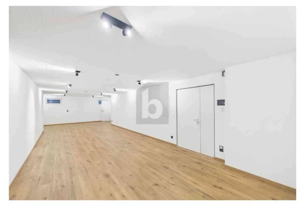 2 rooms Office & Commercial for rent in Jonschwil - image 1/6