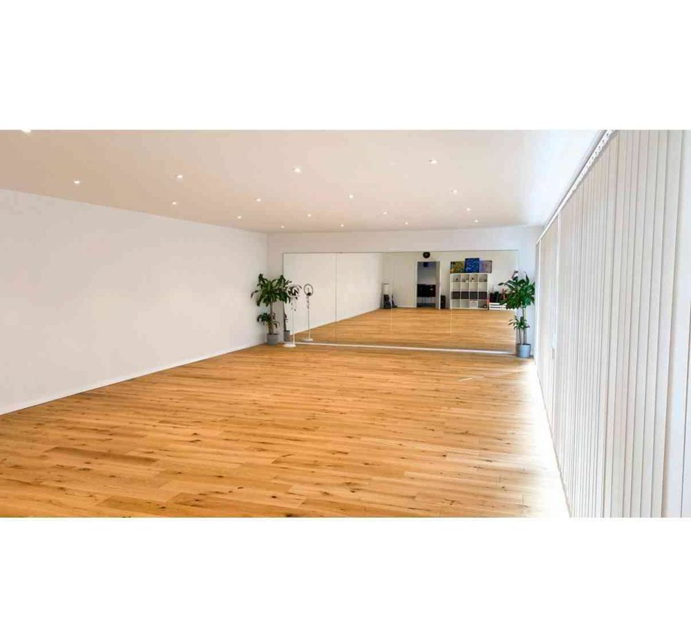 1 rooms Office & Commercial for rent in Schupfart - image 1/3