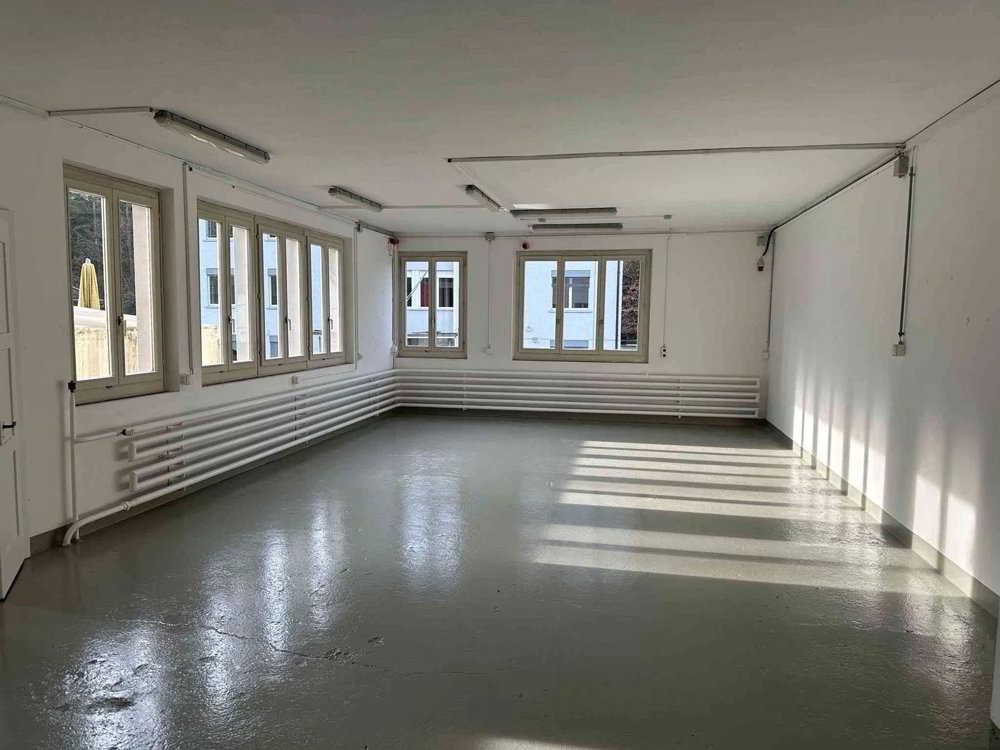 Heller Büro- und Gewerberaum in Zürich Seebach - Ansicht 2