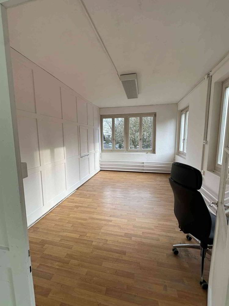 Heller Büro- und Gewerberaum in Zürich Seebach - Ansicht 3