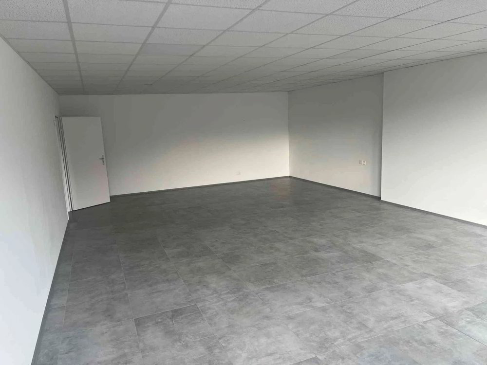 1 rooms Office & Commercial for rent in Zeiningen - image 1/2