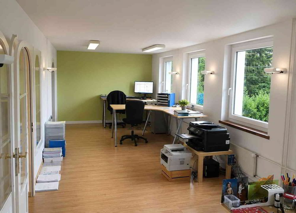 3 rooms Office & Commercial for rent in Rorschach - image 1/4
