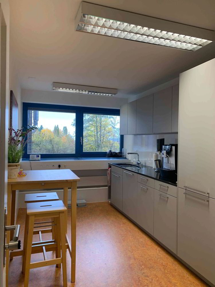 1 rooms Office & Commercial for rent in Thalwil - image 1/5