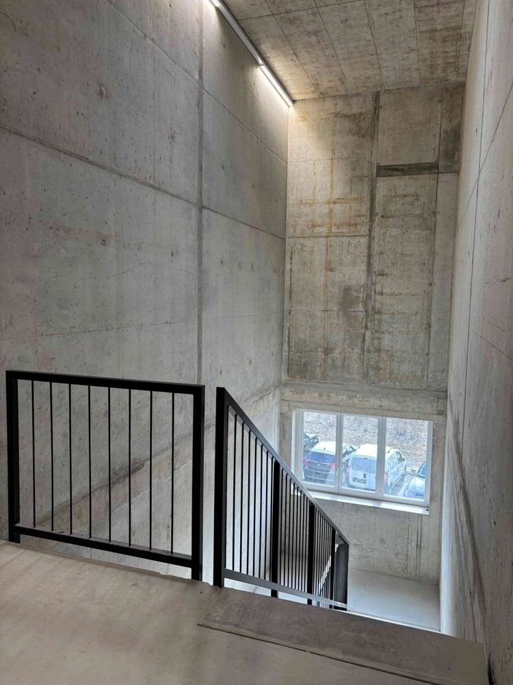 1 rooms Office & Commercial for rent in Zwingen - image 1/4