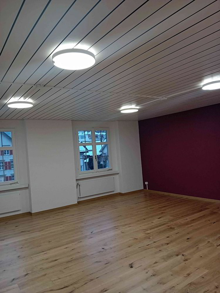 1 rooms Office & Commercial for rent in Lichtensteig - image 1/2