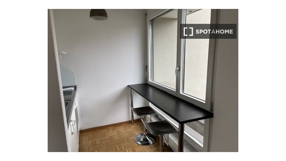 Appartamento di 1 locali in affitto a Zürich - immagine 1/1