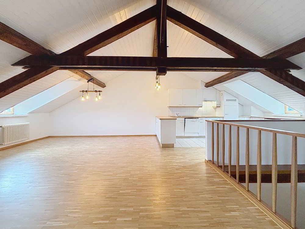 4 Zimmer Wohnung zu vermieten in Carouge GE - Bild 1/13