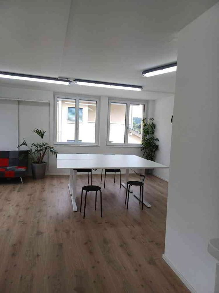 1 rooms Office & Commercial for rent in Rikon im Tösstal - image 1/2