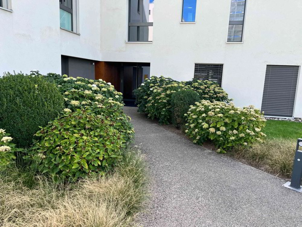 Wohnung – St-Sulpice VD - Ansicht 2