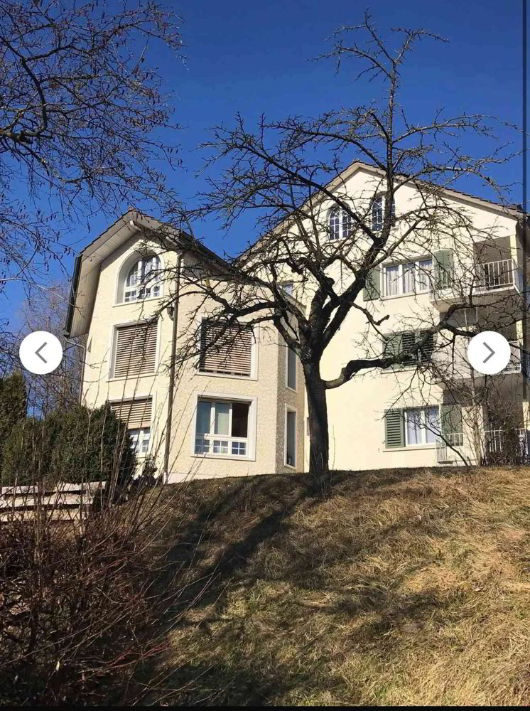 Wohnung – Amriswil