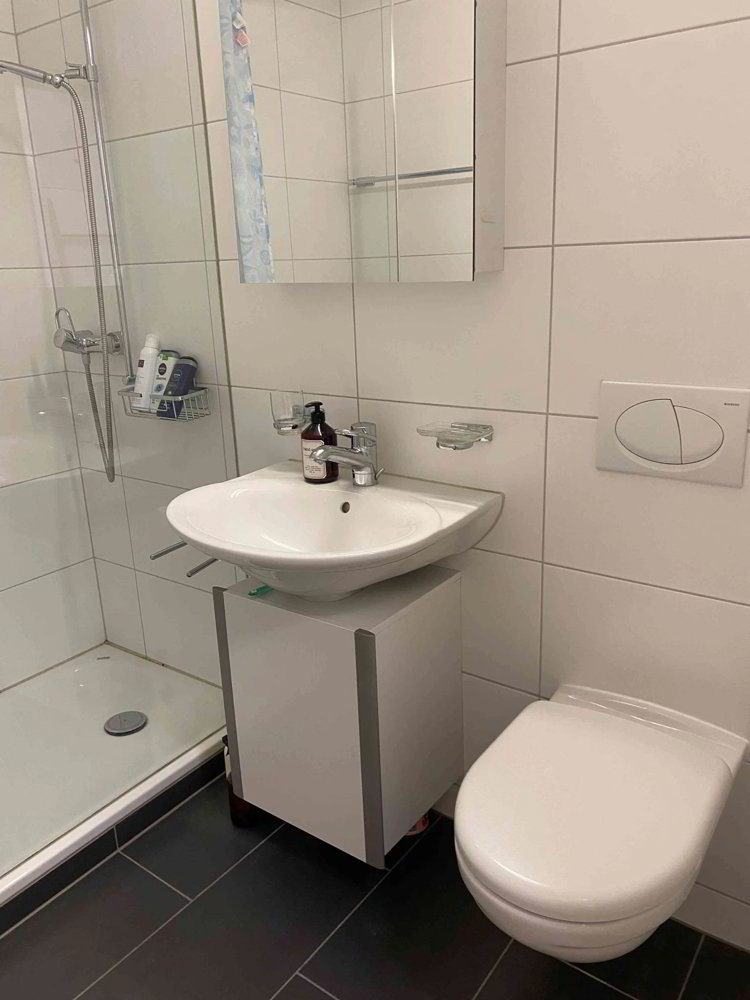 Appartamento di 1.5 locali in affitto a Bassersdorf - immagine 1/8
