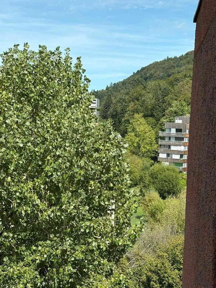 Appartement 4.5 pièces à louer à Lucerna - image 1/10