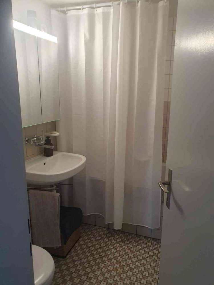Appartement 4.5 pièces à louer à Muri AG - image 1/10