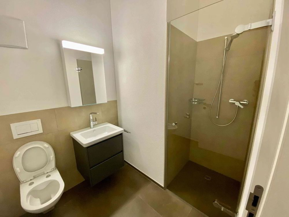 Appartement 4.5 pièces à louer à Grabs - image 1/12