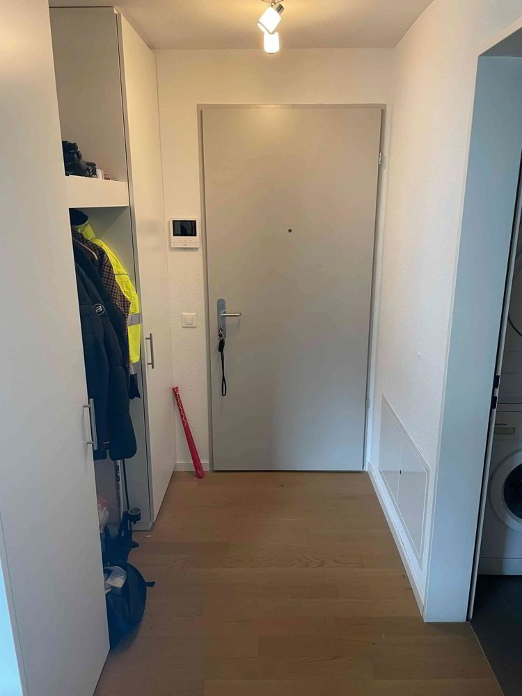 Wohnung – Sargans - Mehr