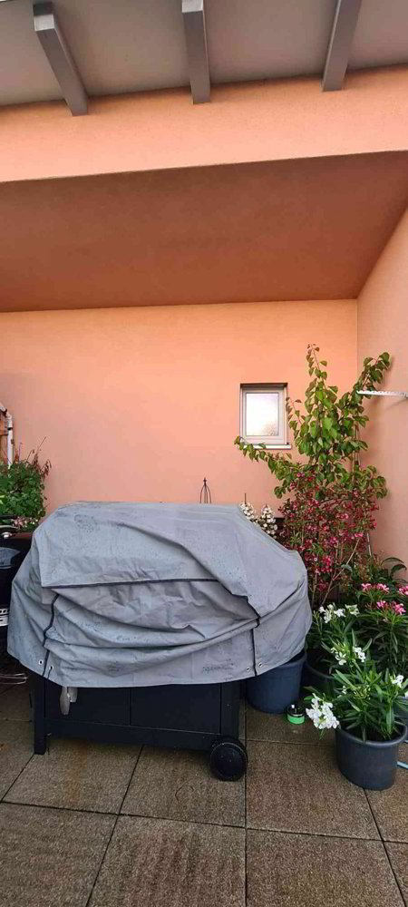 Appartamento di 4.5 locali in affitto a Buchs AG - immagine 1/12