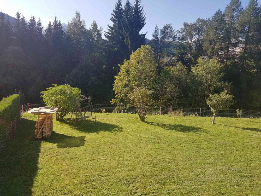Wohnung – Disentis/Mustér - Mehr