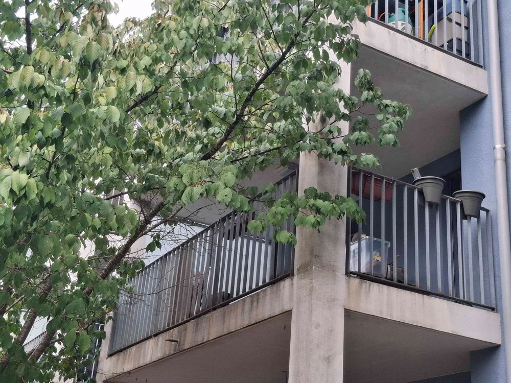 Appartamento di 3.5 locali in affitto a Glattfelden - immagine 1/13
