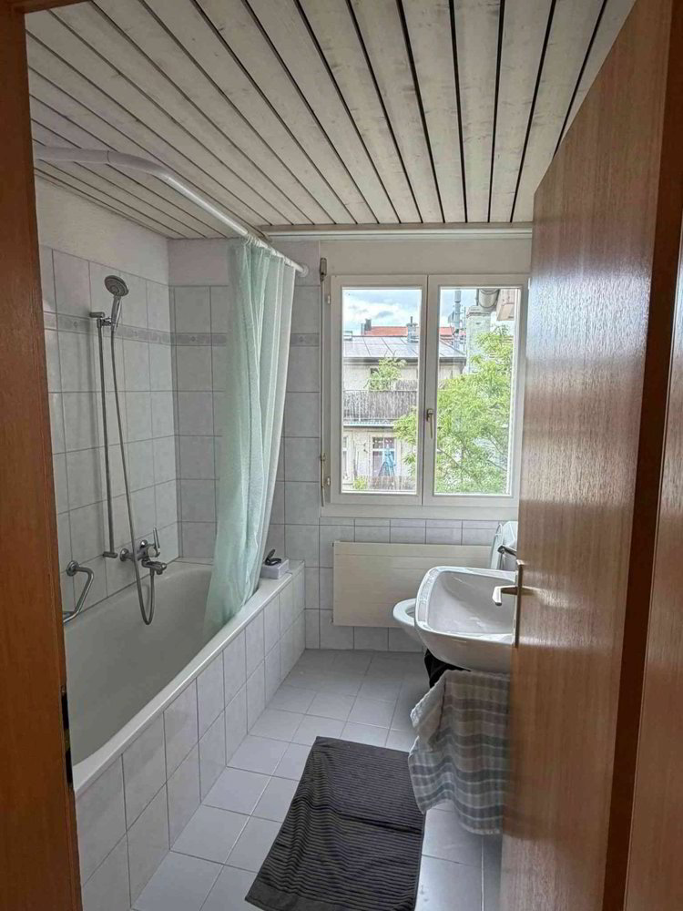 Wohnung – St. Gallen - Mehr