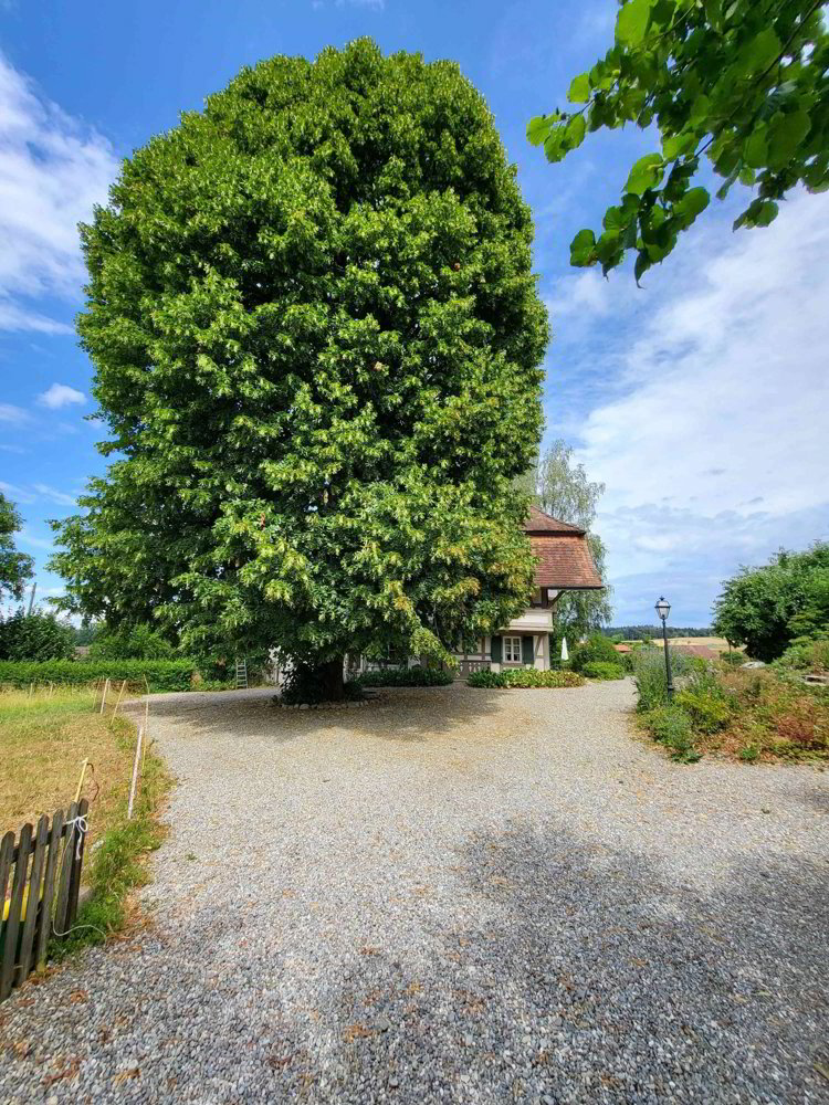 Wohnung – Bleienbach - Ansicht 4