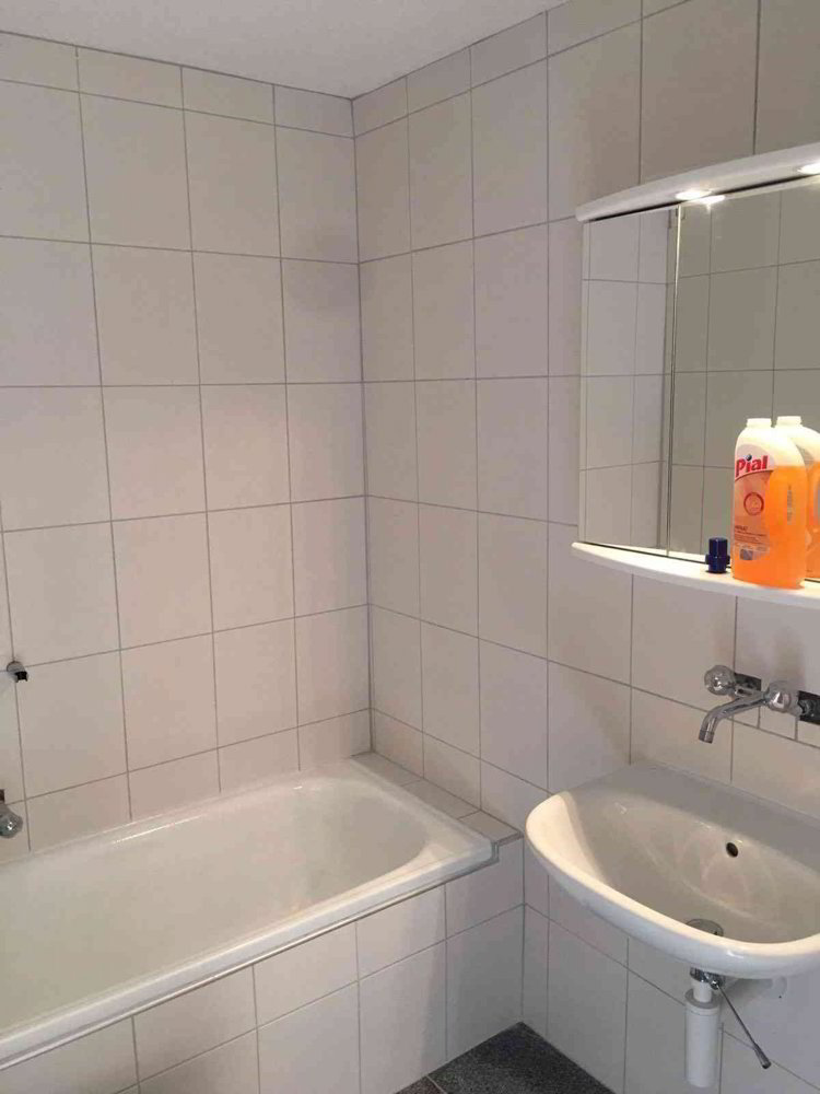 Appartamento di 3 locali in affitto a Fahrwangen - immagine 1/10