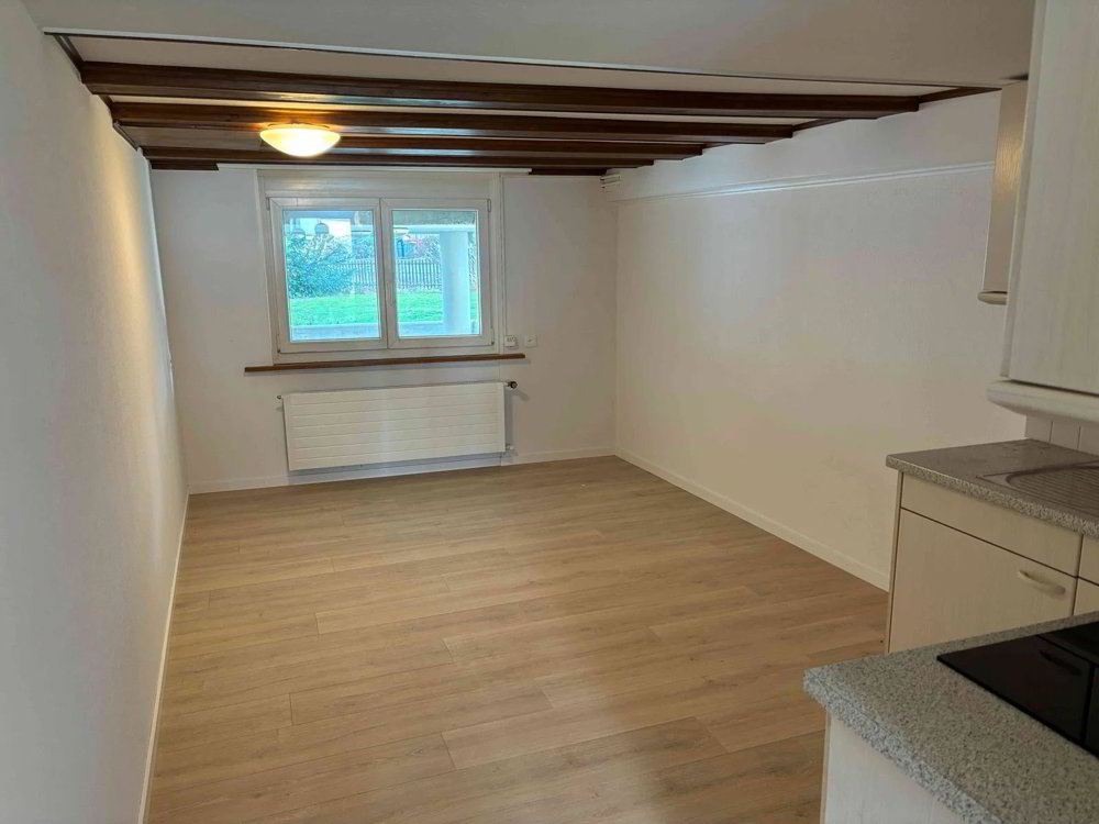 Wohnung – Steinach - Ansicht 2