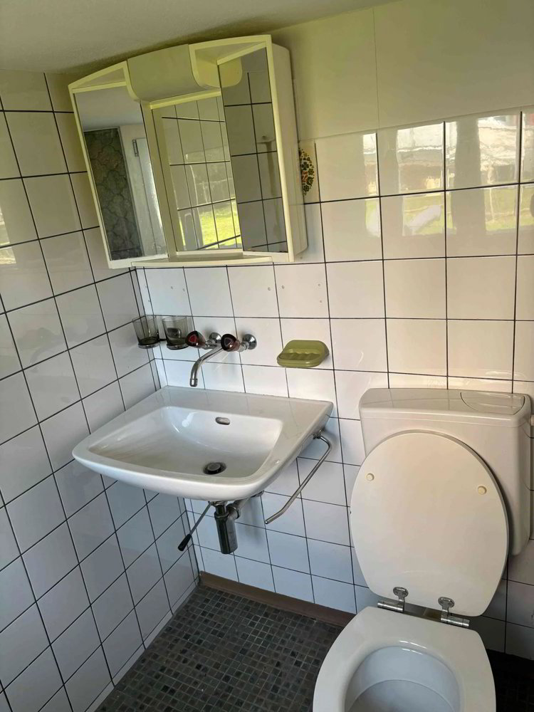 Appartement 1.5 pièces à louer à Steinach - image 1/6