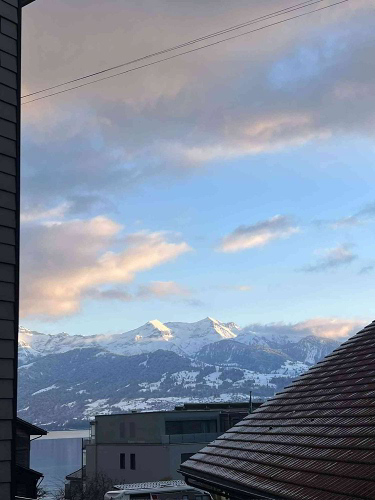 Wohnung – Gunten - Ansicht 4