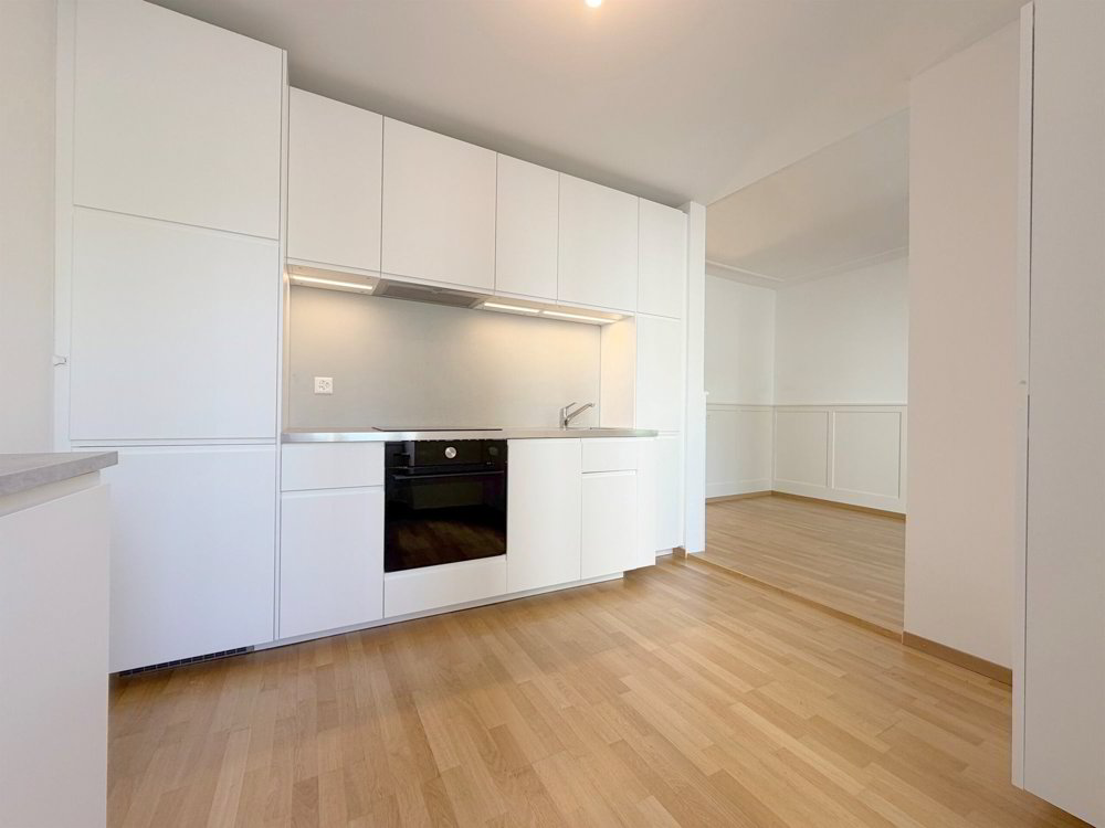 Wohnung – Zürich - Mehr