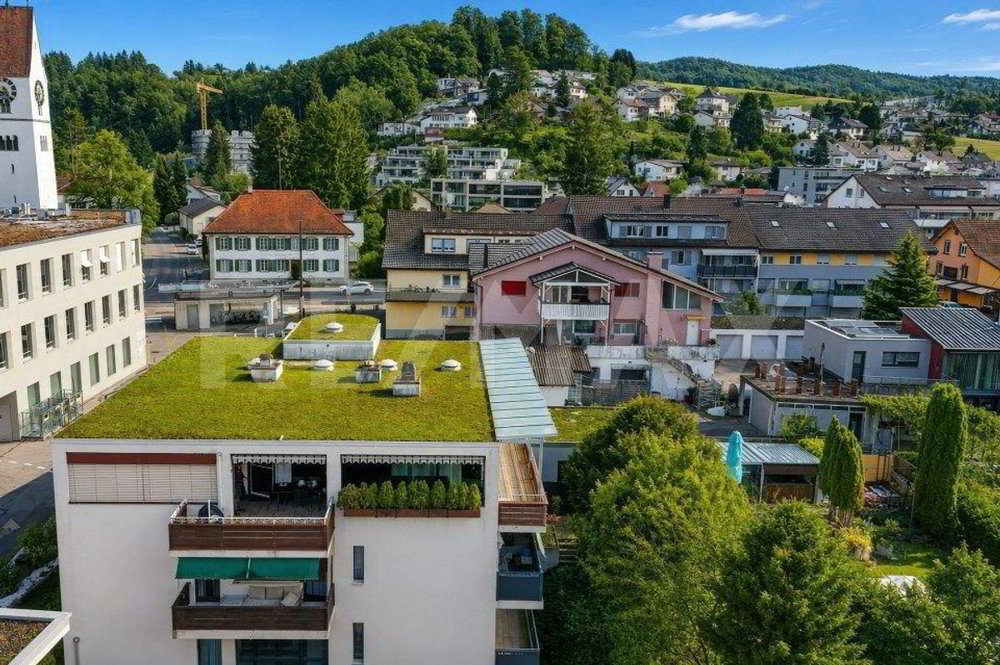 Appartement 4.5 pièces à acheter à Unterkulm - image 1/12