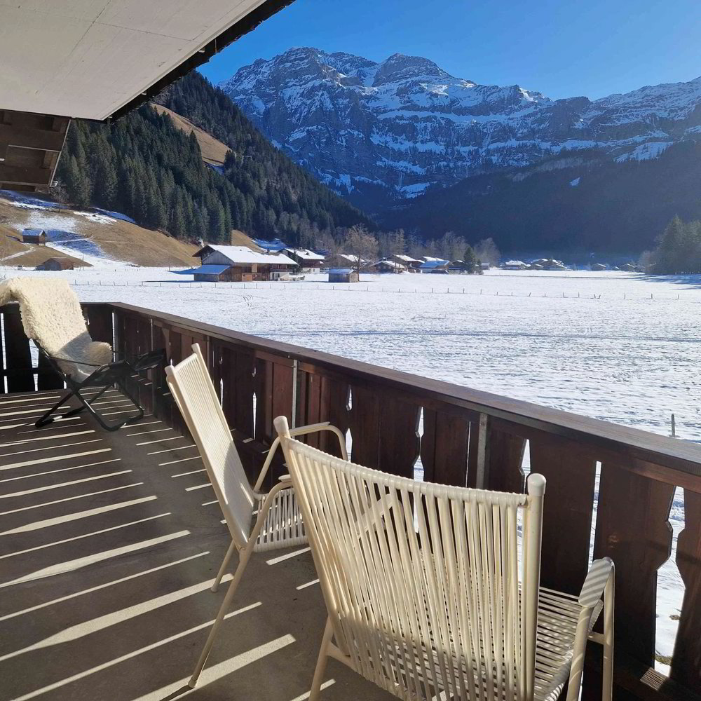 1.5 rooms Apartment for rent in Lenk im Simmental - image 1/13