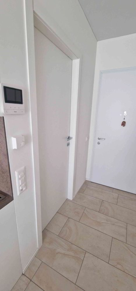 1.5 rooms Apartment for rent in Viganello - image 1/11