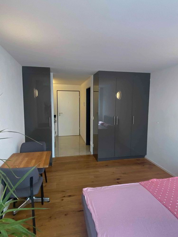 Wohnung – Binningen - Mehr