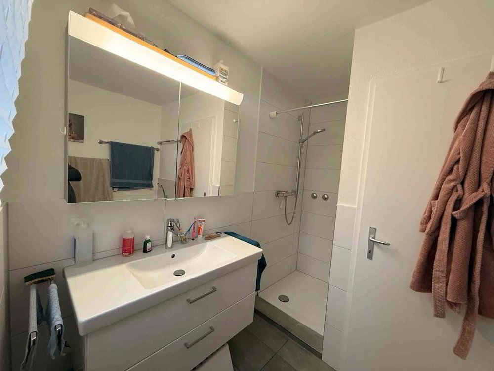 Wohnung – Dornach - Mehr