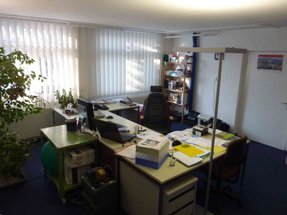 1 rooms Office & Commercial for rent in Sargans - image 1/5