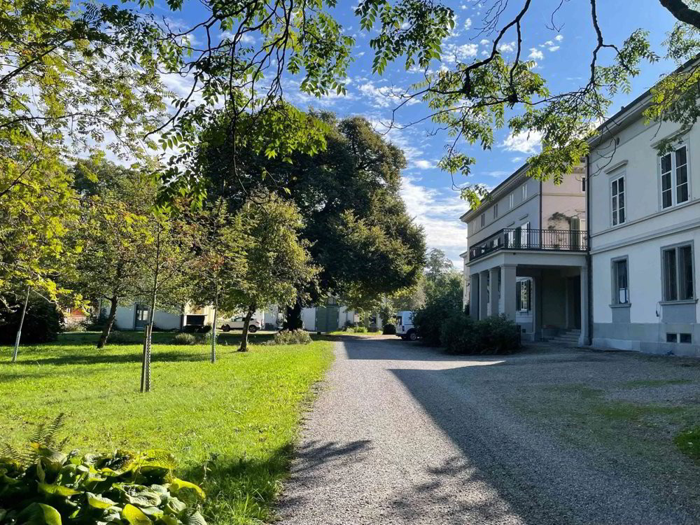 Gewerberaum zu vermieten – Einzigartiges Ambiente im Sulzerhof - Ansicht 4