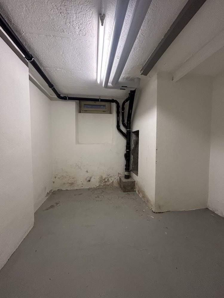 Lagerraum/Bastelraum in Wipkingen - Ansicht 5