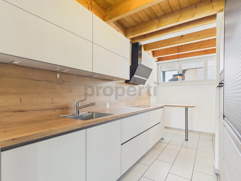 Haus – Witterswil - Ansicht 5