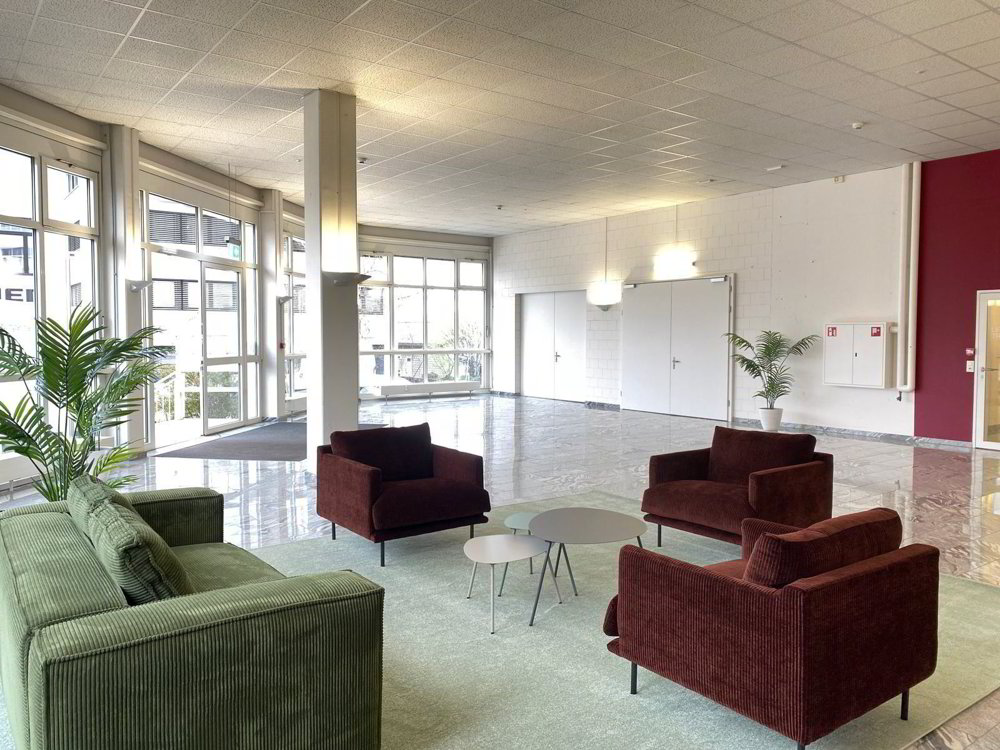 null rooms Office & Commercial for rent in Birsfelden - image 1/8